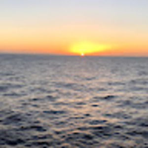 Meet your Posher, Drew